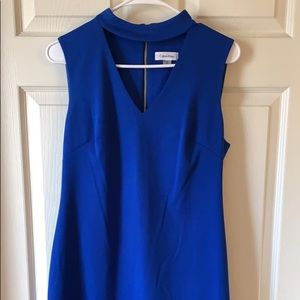 Blue Calvin Klein Dress